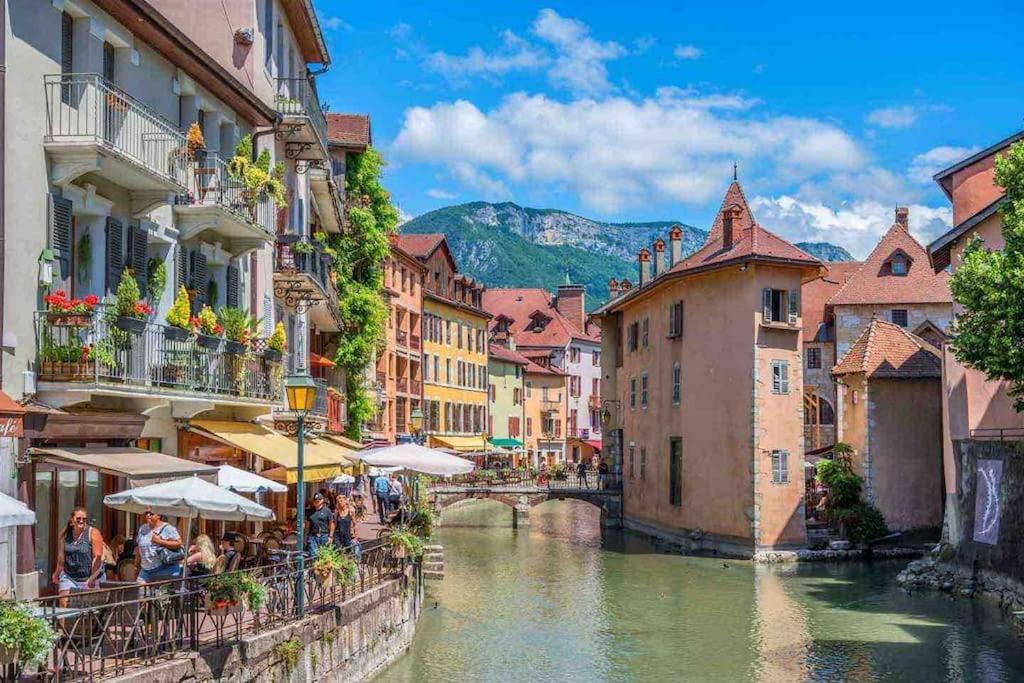 La Perle Du Thiou - Charmant T3 Au Centre D'Annecy Avec Parking Prive Buitenkant foto